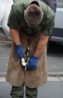 650 Jahre Neudorf - Stehender Umzug