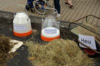 650 Jahre Neudorf - Stehender Umzug