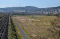 Aufstauungen durch einen Biberdamm  -  Frühjahr 2025