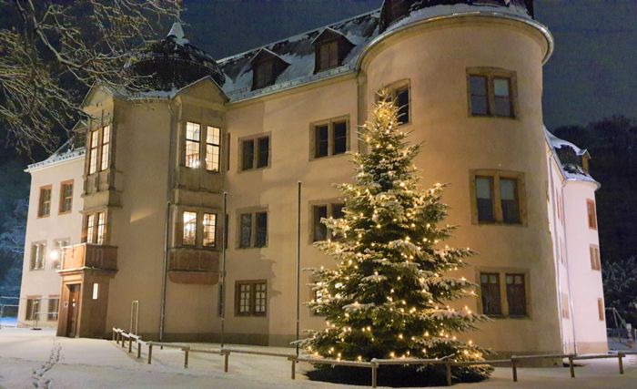 Schloss Wächtersbach mit Weihnachtsbaum im Schnee Schloss Wächtersbach mit Weihnachtsbaum im Schnee