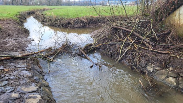 Neubau am 14.03.2025