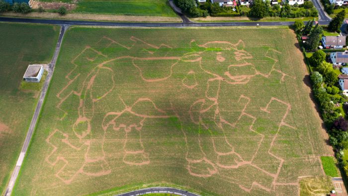 Das Maislabyrinth