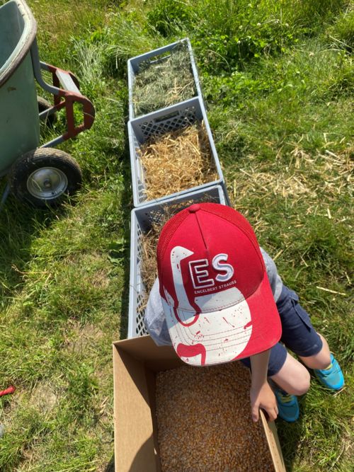 Beim Bau des Barfußpfades