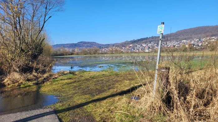 Aufgestaute Wasserfläche durch den Biberdamm
