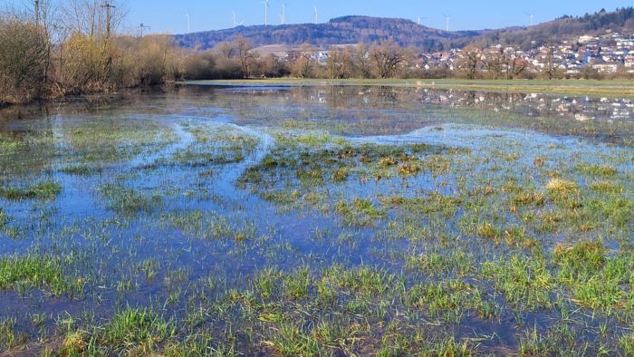 Aufgestaute Wasserfläche durch den Biberdamm