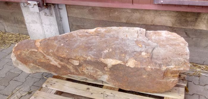 Friedhof: Gedenkstein für Baumbestattung Friedhof: Gedenkstein für Baumbestattung