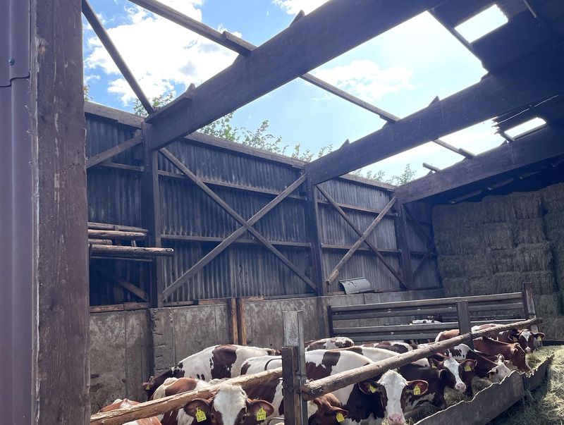 Birkenhof: Stall ohne Dach Birkenhof: Stall ohne Dach
