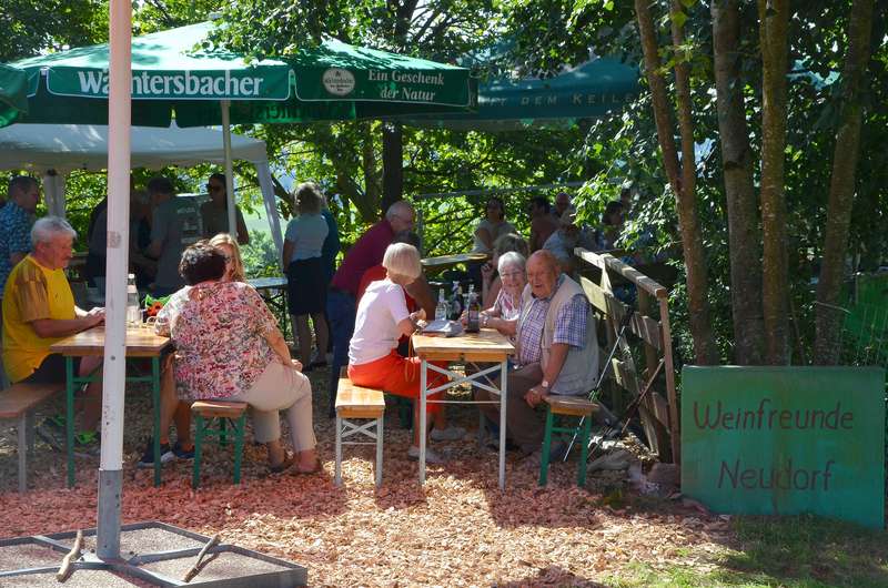 Freigelände am Weinberg Freigelände am Weinberg