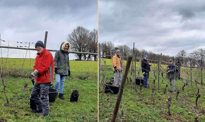 1. Rebschnitt 2022 1. Rebschnitt 2022